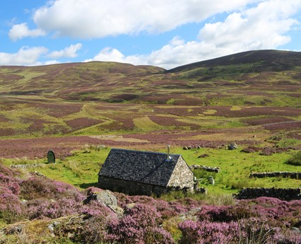 Carn Dearg Bothy, Ashintully