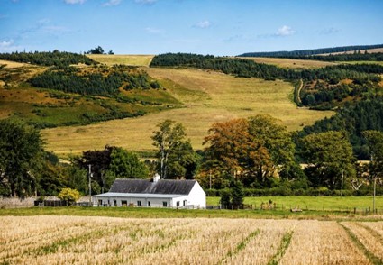 Mortimers Cottage