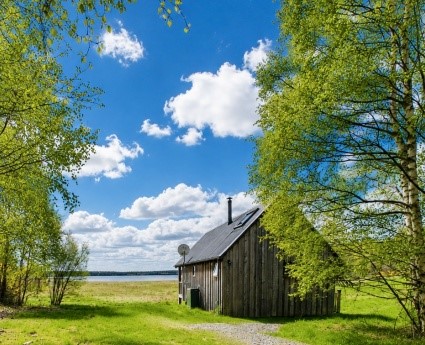 The Birdwatcher's Cabin