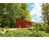 Chestnut Cabin