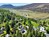 View over Viewmount House, Braemar