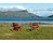 View from The Bothy/Old Schoolhouse over Loch Nevis